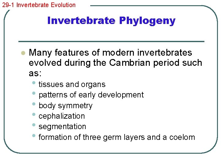 29 -1 Invertebrate Evolution Invertebrate Phylogeny l Many features of modern invertebrates evolved during