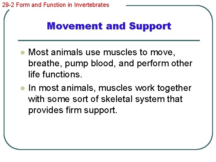 29 -2 Form and Function in Invertebrates Movement and Support l l Most animals