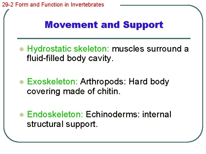 29 -2 Form and Function in Invertebrates Movement and Support l Hydrostatic skeleton: muscles