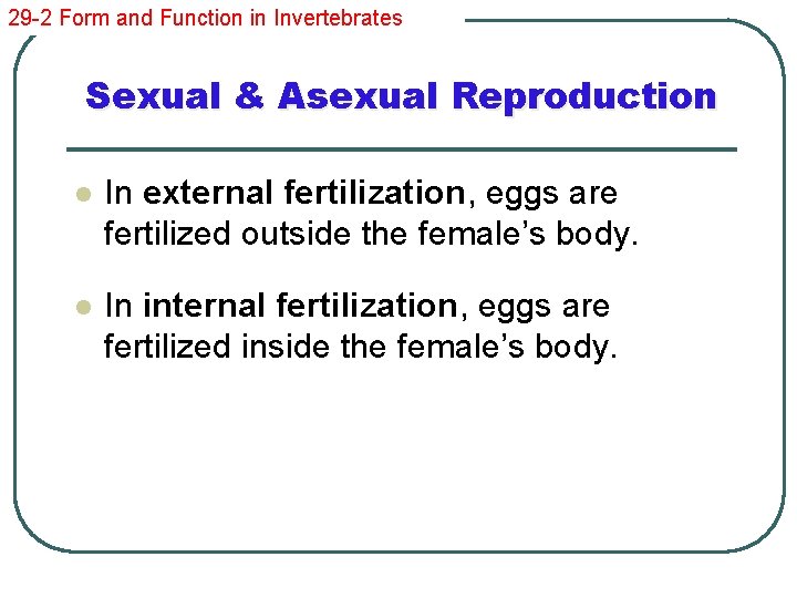 29 -2 Form and Function in Invertebrates Sexual & Asexual Reproduction l In external