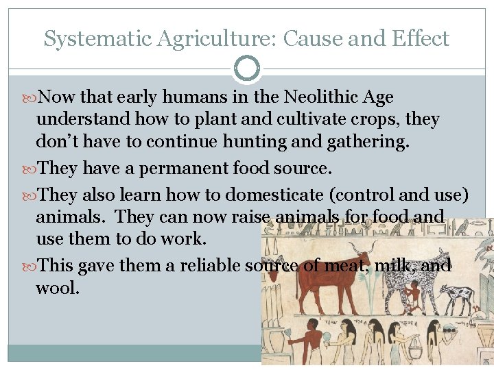 Systematic Agriculture: Cause and Effect Now that early humans in the Neolithic Age understand