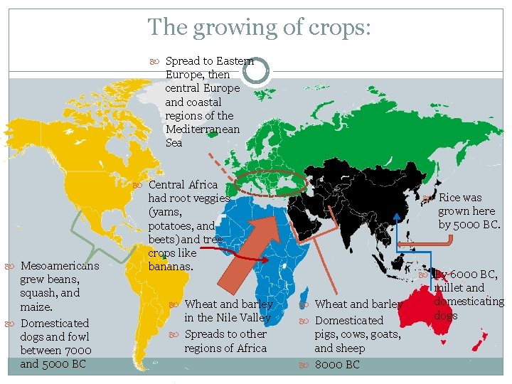 The growing of crops: Spread to Eastern Europe, then central Europe and coastal regions