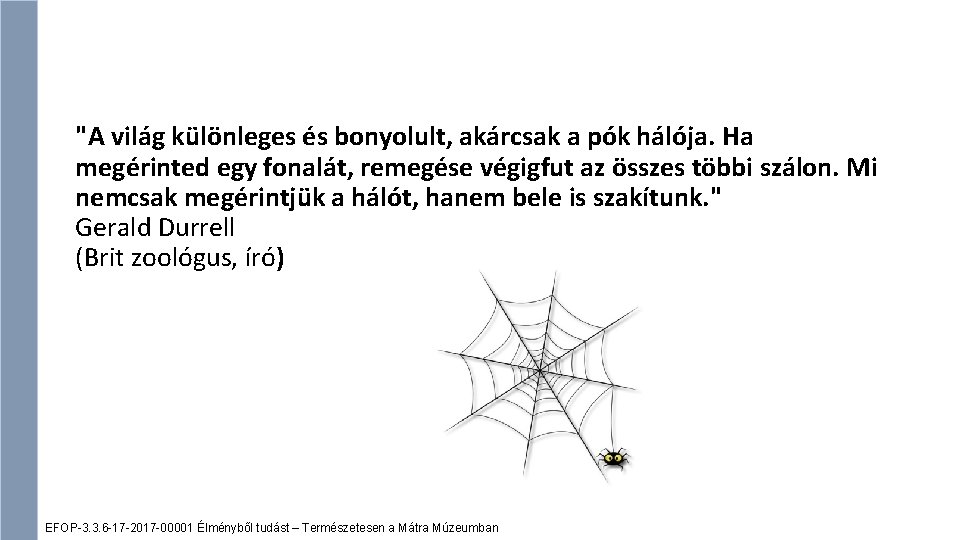 "A világ különleges és bonyolult, akárcsak a pók hálója. Ha megérinted egy fonalát, remegése