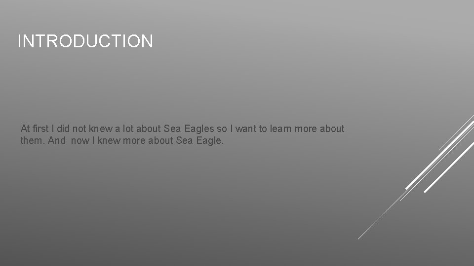 INTRODUCTION At first I did not knew a lot about Sea Eagles so I