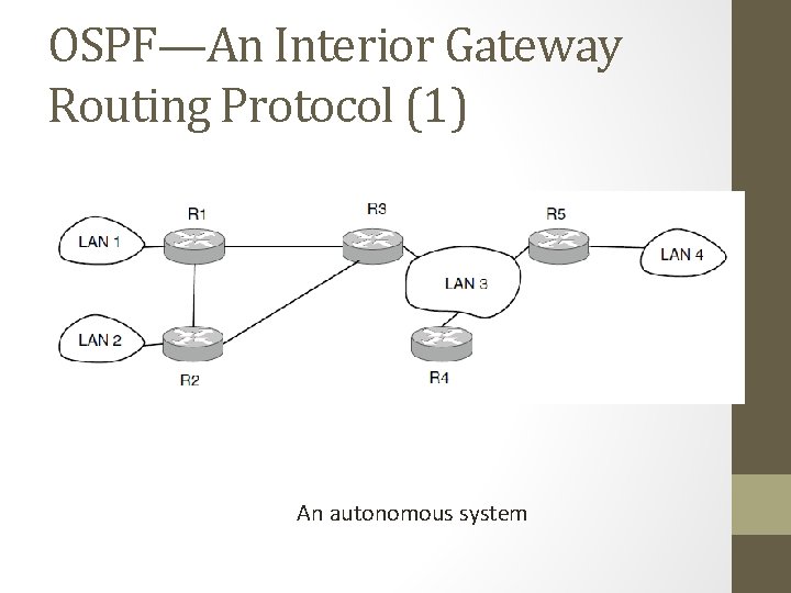 OSPF—An Interior Gateway Routing Protocol (1) An autonomous system 