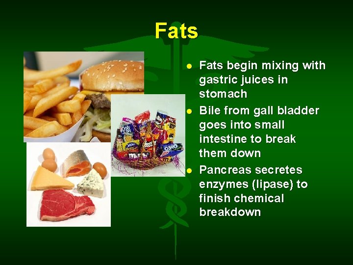 Fats Fats begin mixing with gastric juices in stomach Bile from gall bladder goes