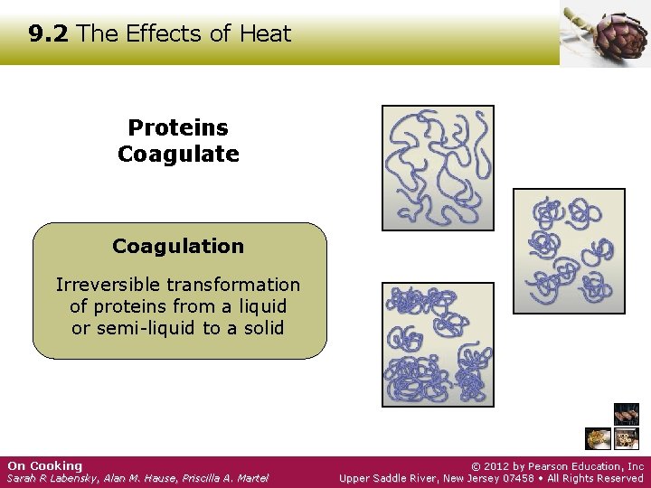 9. 2 The Effects of Heat Proteins Coagulate Coagulation Irreversible transformation of proteins from