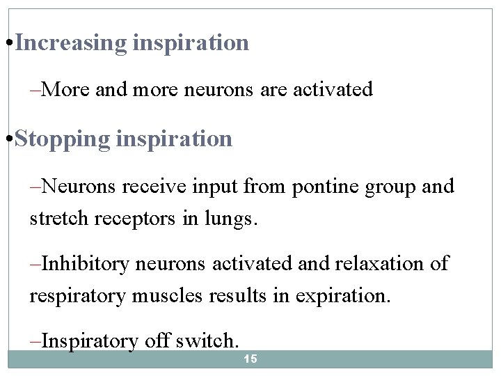  • Increasing inspiration –More and more neurons are activated • Stopping inspiration –Neurons