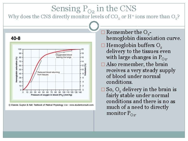 Sensing PO 2 in the CNS Why does the CNS directly monitor levels of