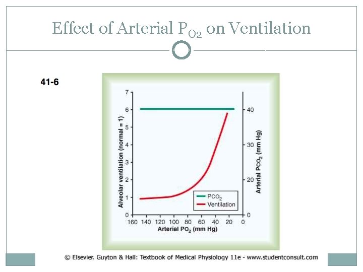 Effect of Arterial PO 2 on Ventilation 