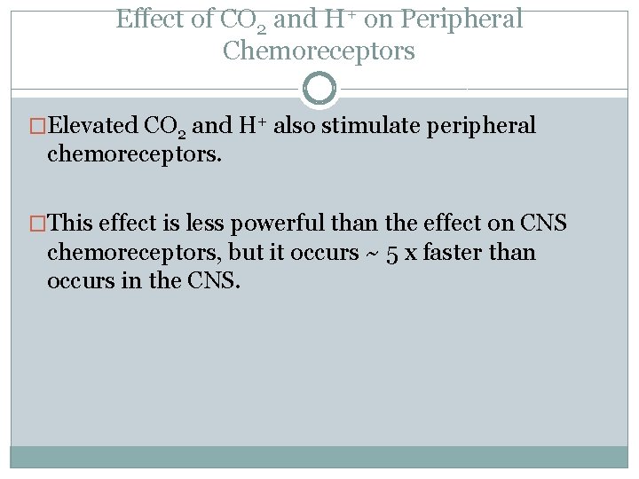 Effect of CO 2 and H+ on Peripheral Chemoreceptors �Elevated CO 2 and H+