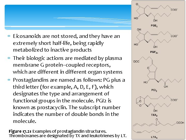  Eicosanoids are not stored, and they have an extremely short half-life, being rapidly