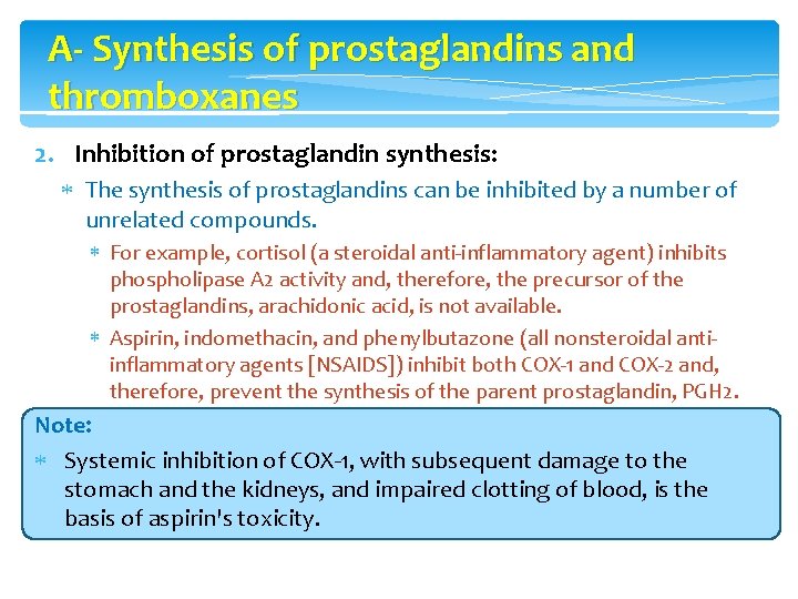 A- Synthesis of prostaglandins and thromboxanes 2. Inhibition of prostaglandin synthesis: The synthesis of