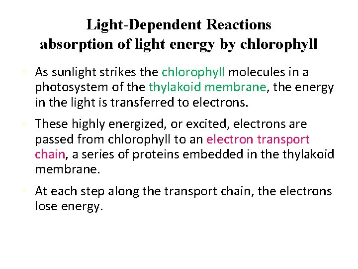 Light-Dependent Reactions absorption of light energy by chlorophyll • As sunlight strikes the chlorophyll