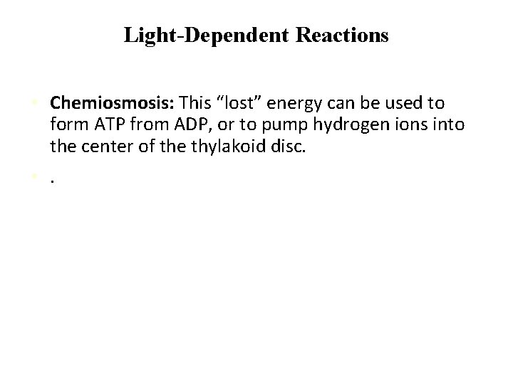 Light-Dependent Reactions • Chemiosmosis: This “lost” energy can be used to form ATP from