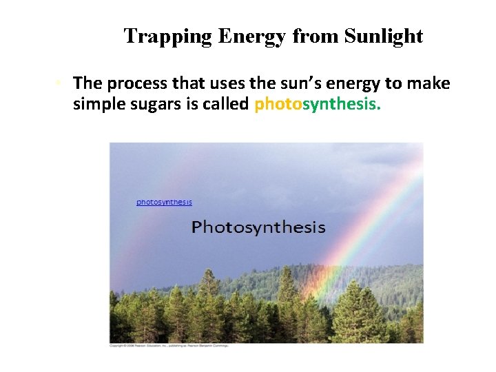 Trapping Energy from Sunlight • The process that uses the sun’s energy to make