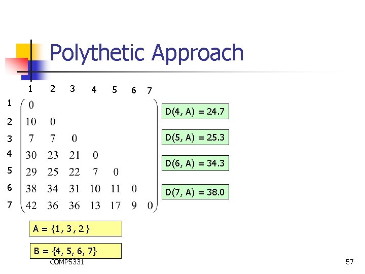Polythetic Approach 1 2 3 4 1 5 6 7 D(4, A) = 24.