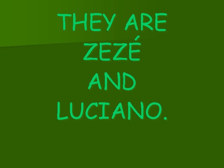 THEY ARE ZEZÉ AND LUCIANO. 