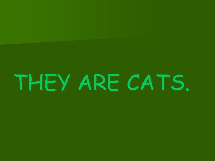 THEY ARE CATS. 