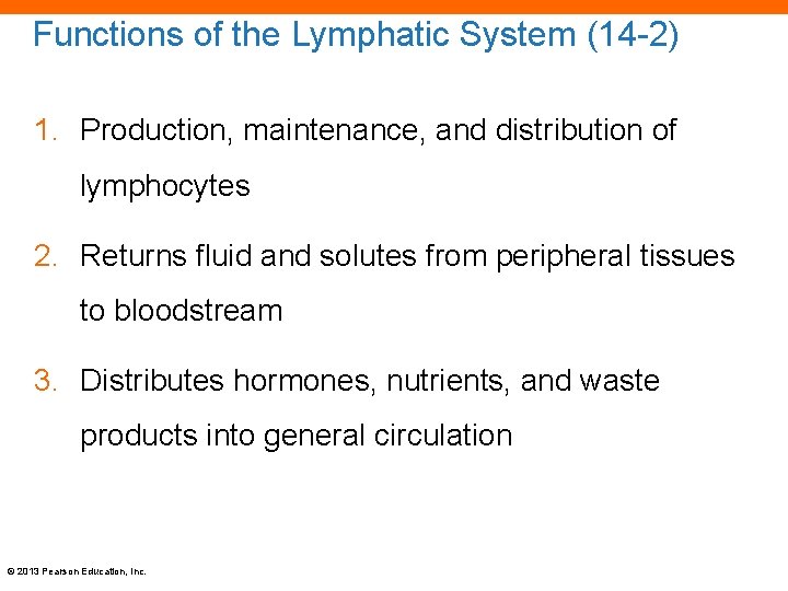 Functions of the Lymphatic System (14 -2) 1. Production, maintenance, and distribution of lymphocytes