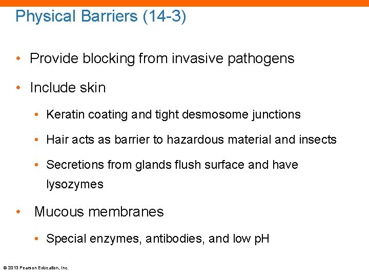 Physical Barriers (14 -3) • Provide blocking from invasive pathogens • Include skin •