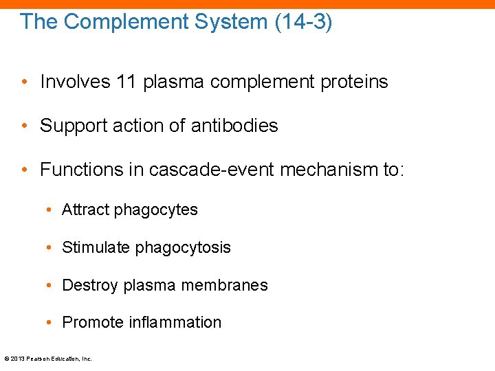 The Complement System (14 -3) • Involves 11 plasma complement proteins • Support action