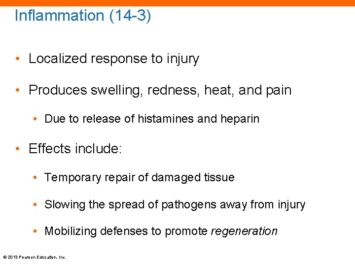 Inflammation (14 -3) • Localized response to injury • Produces swelling, redness, heat, and