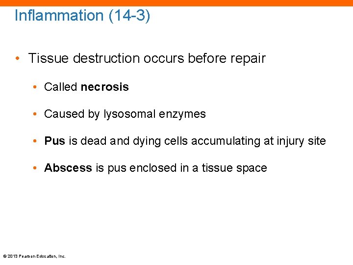 Inflammation (14 -3) • Tissue destruction occurs before repair • Called necrosis • Caused