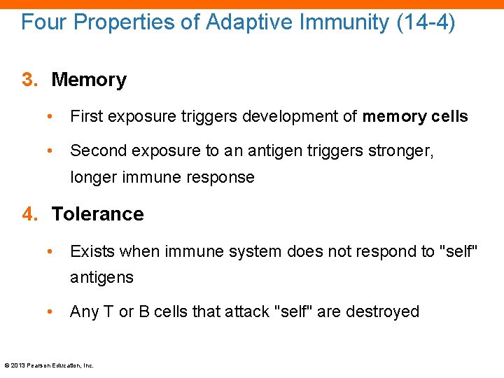 Four Properties of Adaptive Immunity (14 -4) 3. Memory • First exposure triggers development