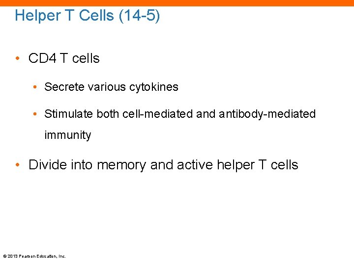 Helper T Cells (14 -5) • CD 4 T cells • Secrete various cytokines