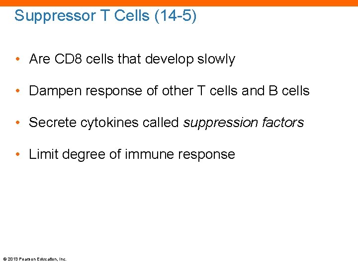 Suppressor T Cells (14 -5) • Are CD 8 cells that develop slowly •