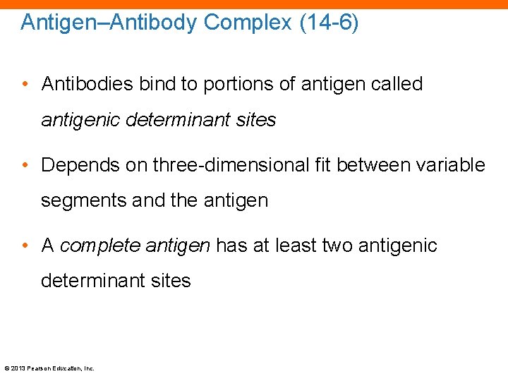 Antigen–Antibody Complex (14 -6) • Antibodies bind to portions of antigen called antigenic determinant