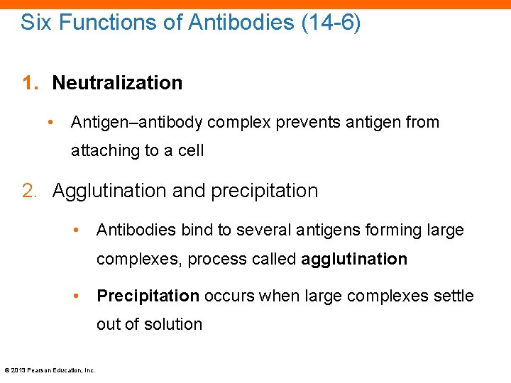 Six Functions of Antibodies (14 -6) 1. Neutralization • Antigen–antibody complex prevents antigen from