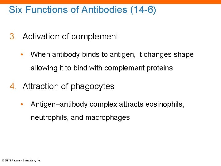 Six Functions of Antibodies (14 -6) 3. Activation of complement • When antibody binds