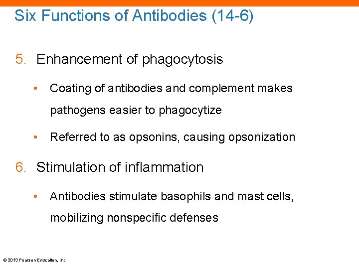 Six Functions of Antibodies (14 -6) 5. Enhancement of phagocytosis • Coating of antibodies