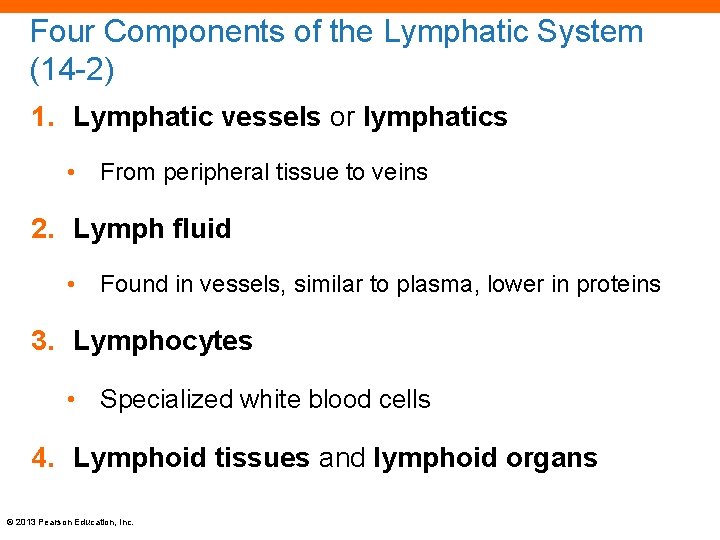 Four Components of the Lymphatic System (14 -2) 1. Lymphatic vessels or lymphatics •