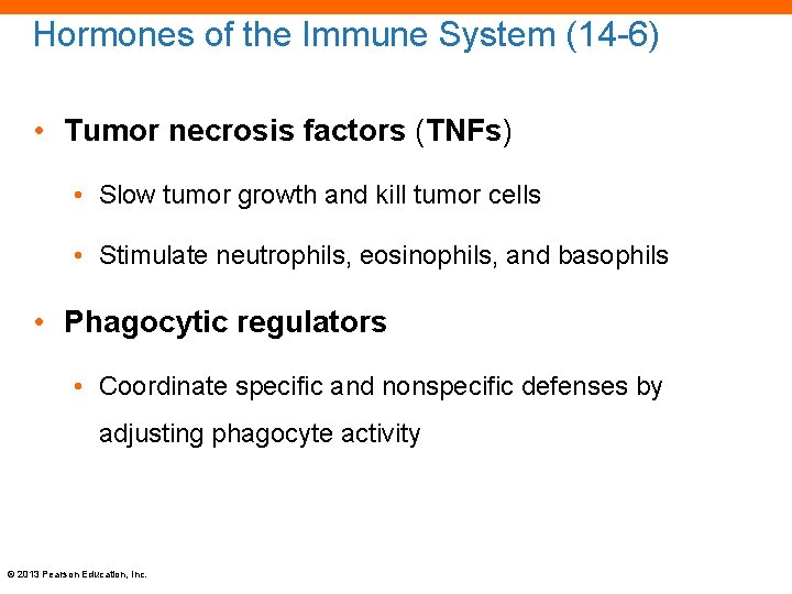 Hormones of the Immune System (14 -6) • Tumor necrosis factors (TNFs) • Slow
