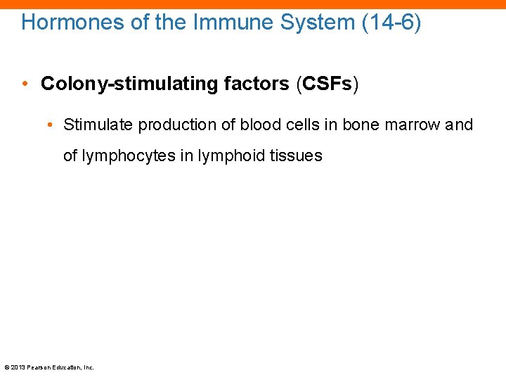 Hormones of the Immune System (14 -6) • Colony-stimulating factors (CSFs) • Stimulate production