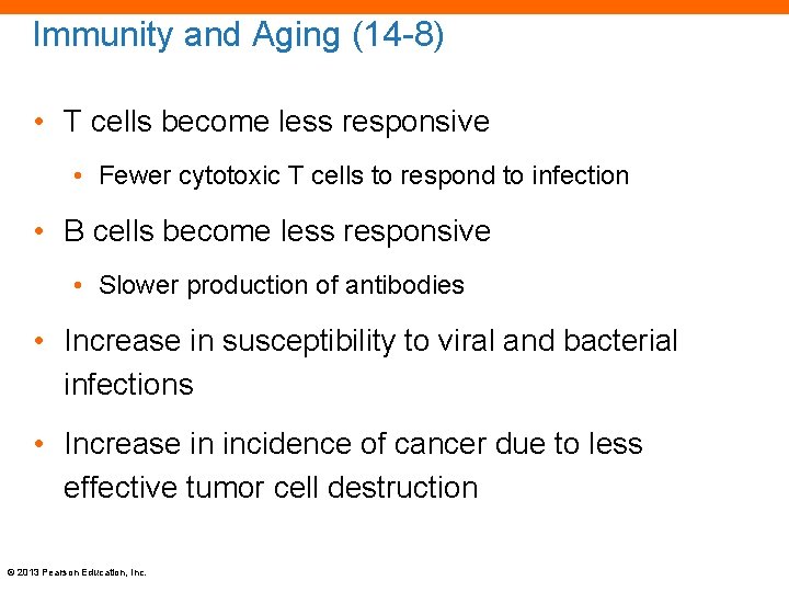 Immunity and Aging (14 -8) • T cells become less responsive • Fewer cytotoxic