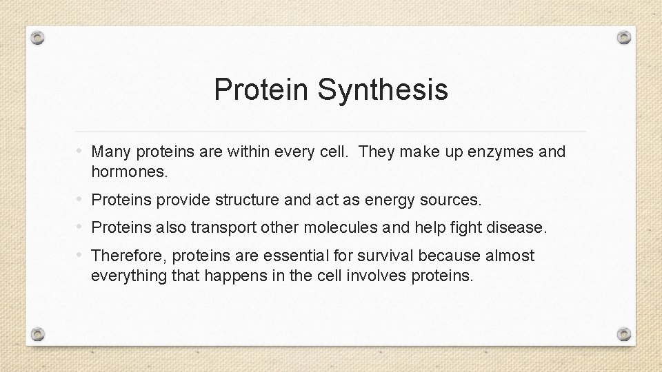 Protein Synthesis • Many proteins are within every cell. They make up enzymes and