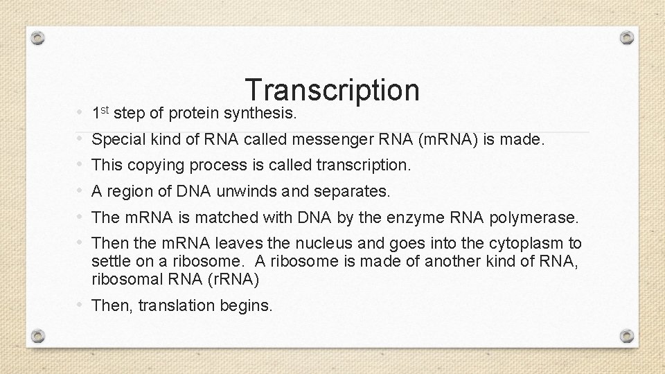  • • • Transcription 1 st step of protein synthesis. Special kind of