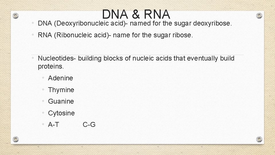 DNA & RNA • DNA (Deoxyribonucleic acid)- named for the sugar deoxyribose. • RNA