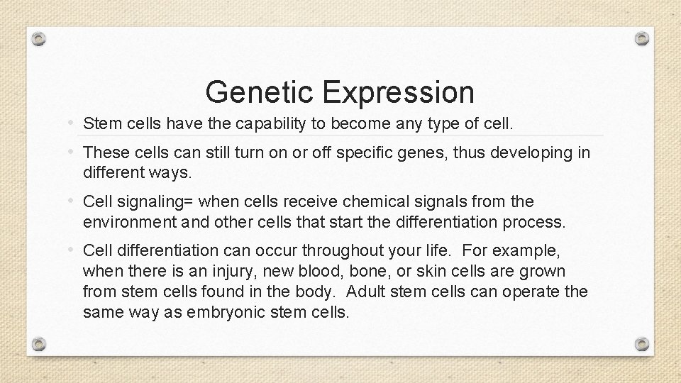 Genetic Expression • Stem cells have the capability to become any type of cell.