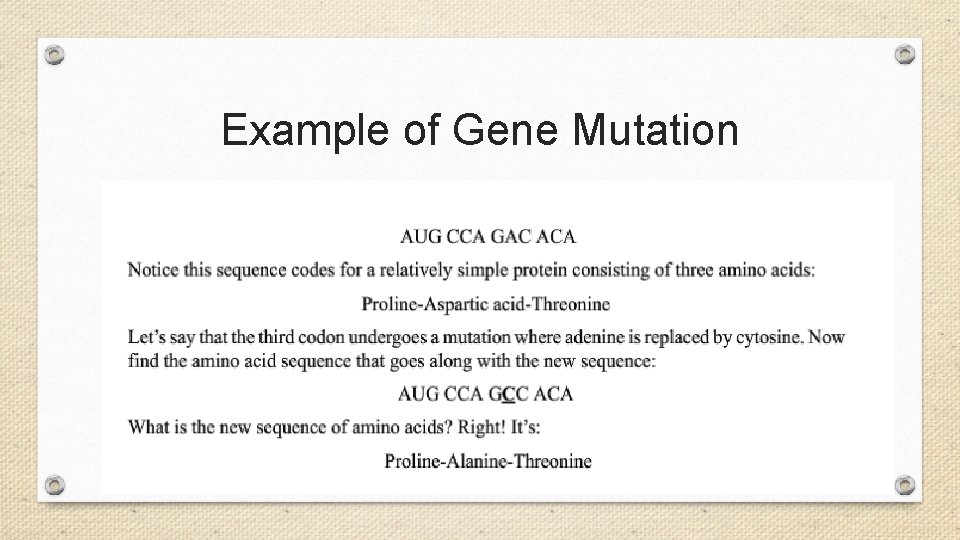 Example of Gene Mutation 