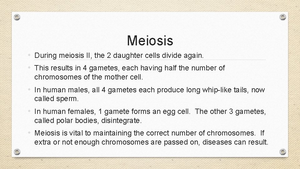 Meiosis • During meiosis II, the 2 daughter cells divide again. • This results