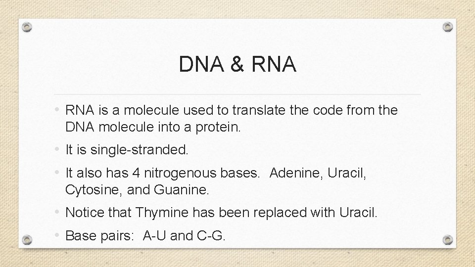 DNA & RNA • RNA is a molecule used to translate the code from