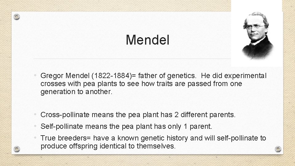 Mendel • Gregor Mendel (1822 -1884)= father of genetics. He did experimental crosses with