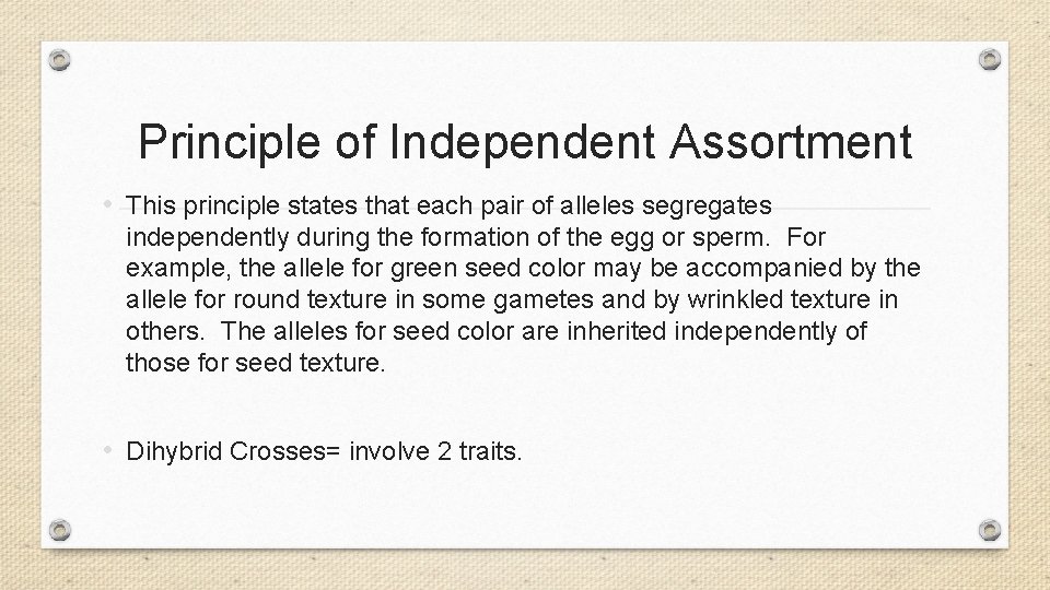 Principle of Independent Assortment • This principle states that each pair of alleles segregates