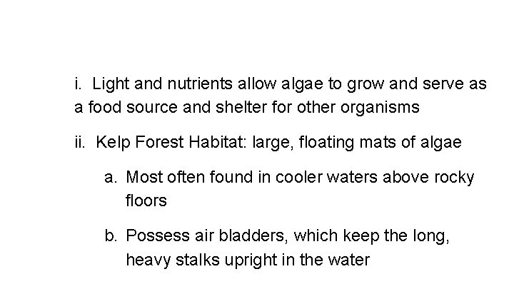i. Light and nutrients allow algae to grow and serve as a food source