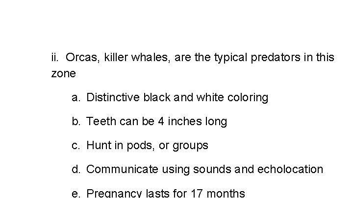 ii. Orcas, killer whales, are the typical predators in this zone a. Distinctive black